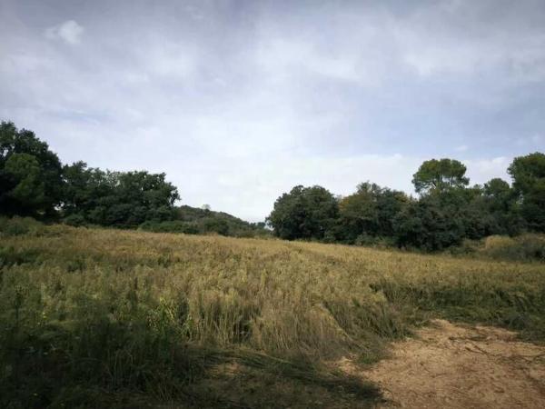 Terreno en grauges photo 2