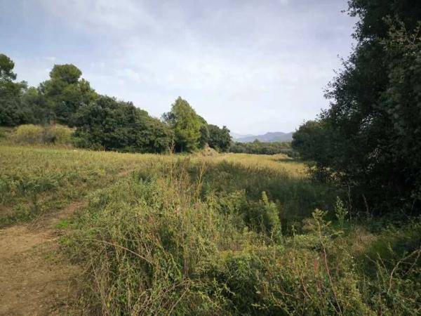 Terreno en grauges photo 3