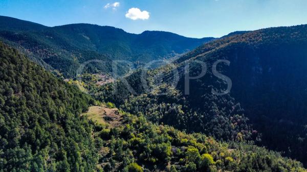 Terreno en alrededores de Berga photo 4