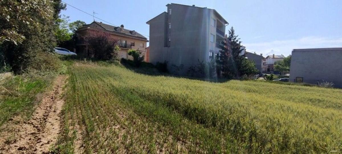 Terreno en venta en Casserres, Barcelona photo 5