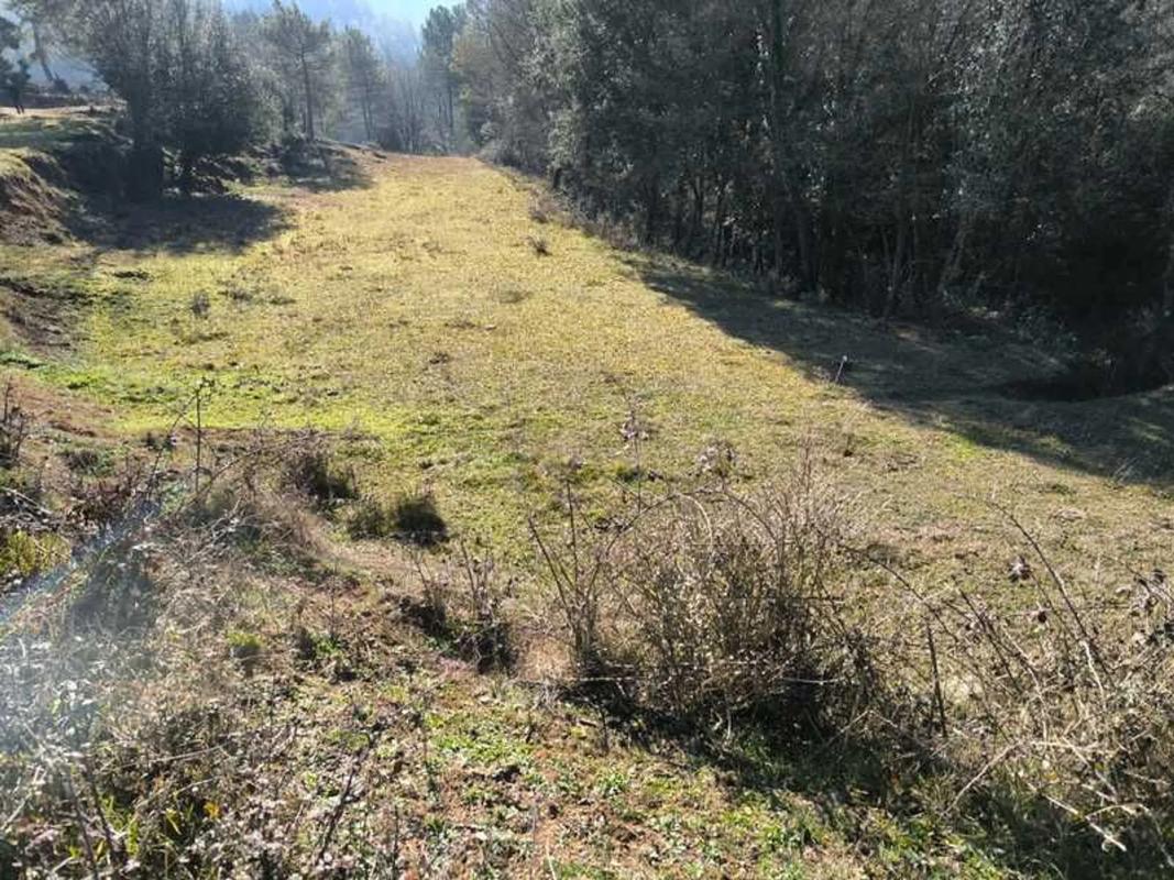 Land for sale in Olvan, Barcelona photo 1