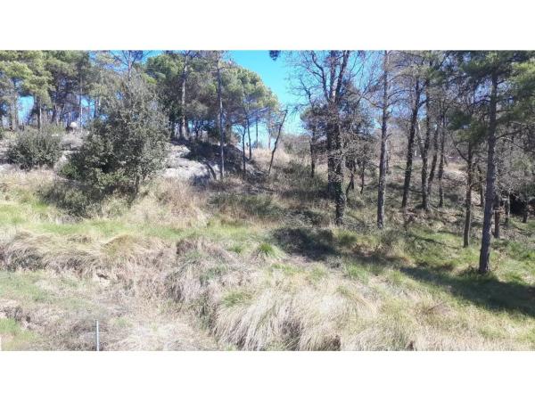 Terreno en Gironella photo 4