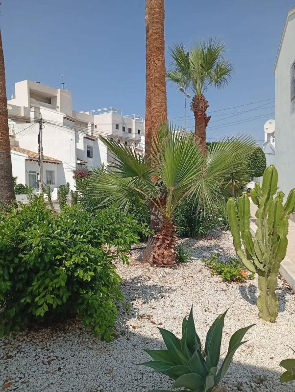 Properties for sale and rent in Spain photo 2