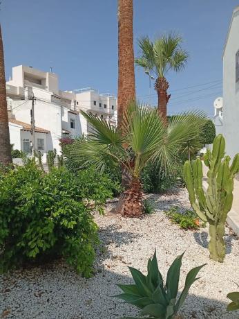 Chalet adosado en avenida Ramblas de Oleza, 37 thumbnail 1