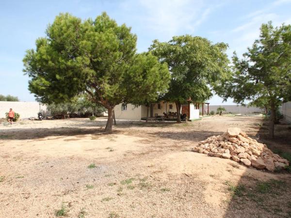 Rustic farm for sale in  Barrio Los Balcones - Los Altos del Edén , Torrevieja photo 3