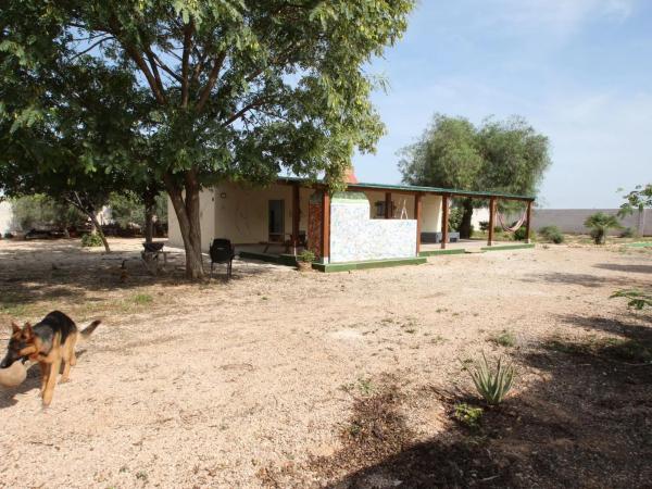 Rustic farm for sale in  Barrio Los Balcones - Los Altos del Edén , Torrevieja photo 4