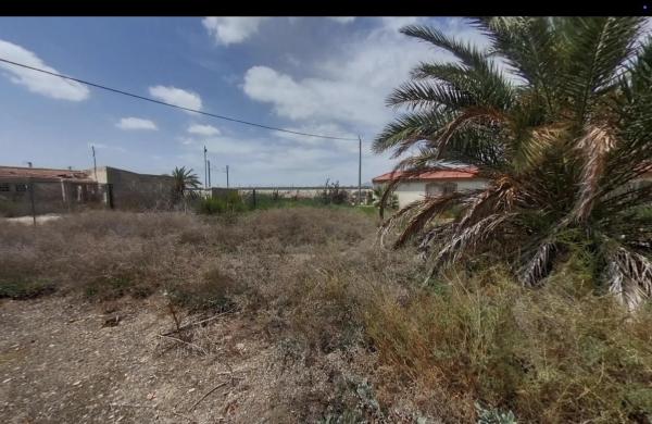 Rustic farm for sale in Partida el Realengo , Crevillente photo 1