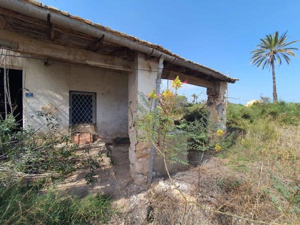Finca rustykalna na sprzedaż w  Camino Fondo de l'Ermita, 134 , Elche / Elx photo 1