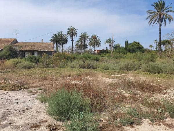 Finca rustykalna na sprzedaż w  Camino Fondo de l'Ermita, 134 , Elche / Elx photo 3