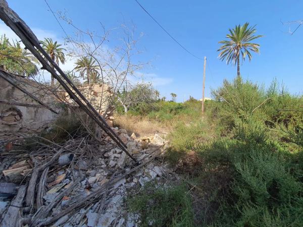 Finca rustykalna na sprzedaż w  Camino Fondo de l'Ermita, 134 , Elche / Elx photo 4