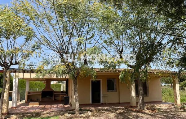Rustic farm for sale in Carretera Elx - Santa Pola , Elche / Elx photo 1