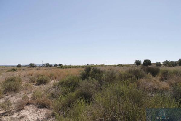 Finca rústica en venta en La Marina , Elche / Elx photo 1