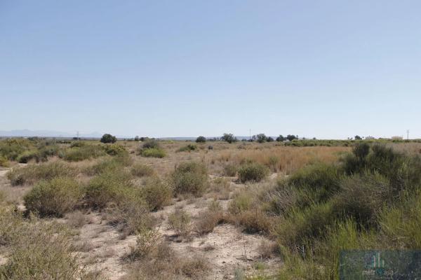 Finca rústica en venta en La Marina , Elche / Elx thumbnail 1