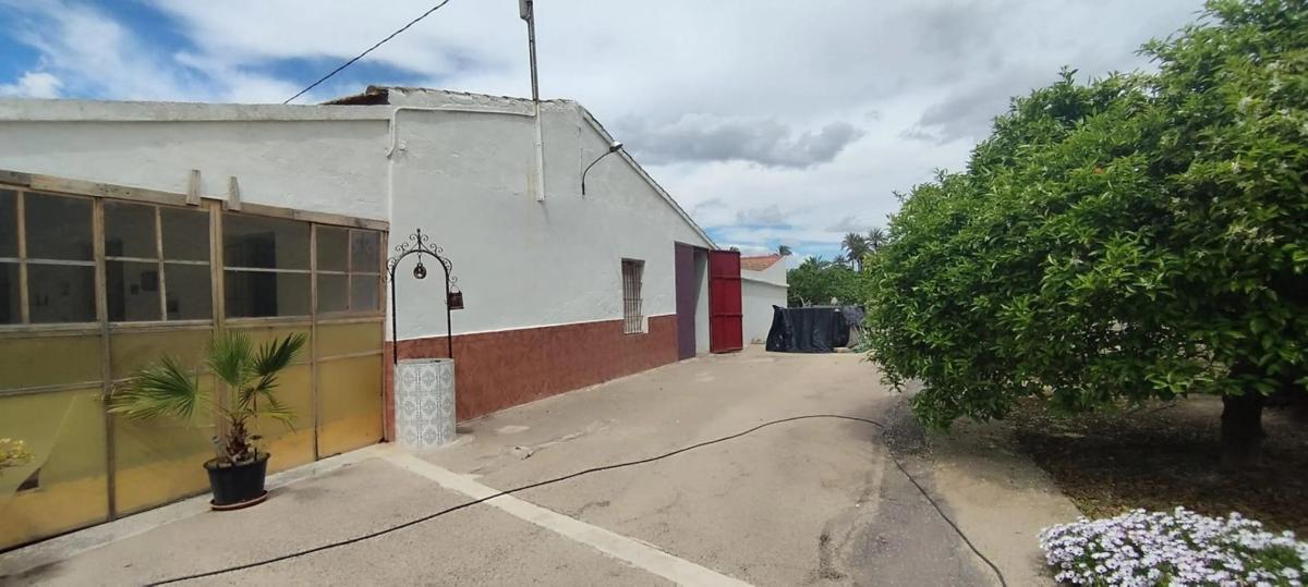 Продажа загородного участка в  Partida Algoda , Эльче / Эльх photo 5
