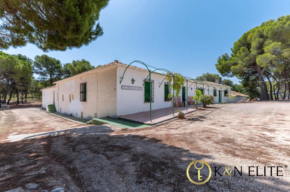 Properties for sale and rent in Spain photo 3