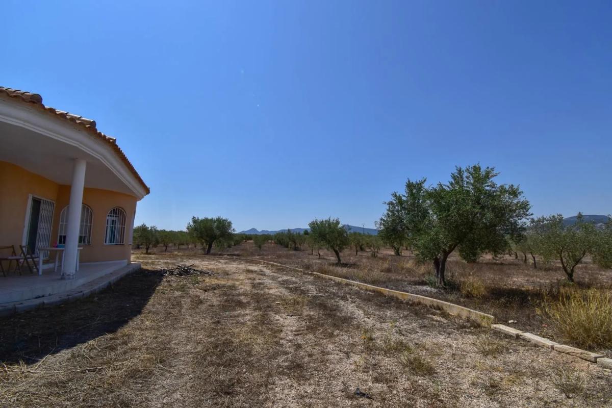 Properties for sale and rent in Spain photo 2