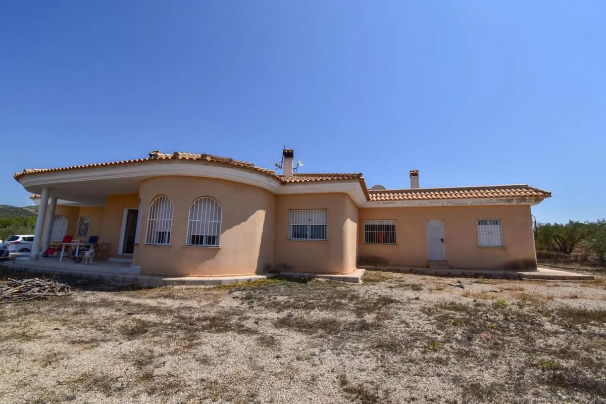 Properties for sale and rent in Spain photo 3