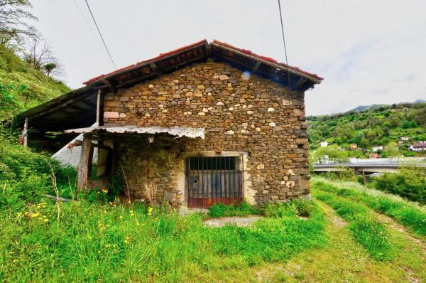 Rustic farm for sale in  Polígono 18,, 29691 , Mieres del Camino photo 2
