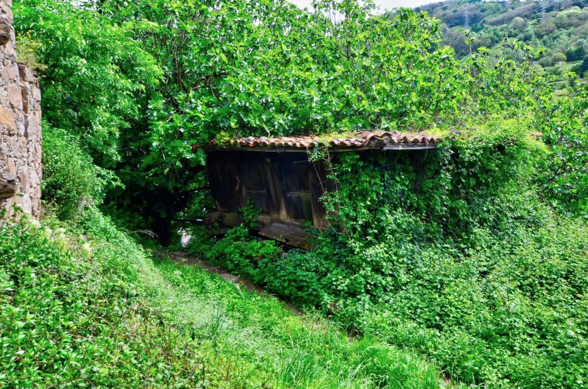 Venta de finca rústica en  Polígono 18, 29692 , Mieres del Camino photo 2