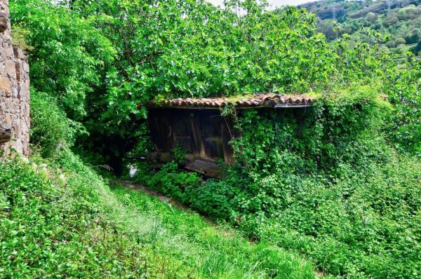 Rustic farm for sale in  Polígono 18, 29692 , Mieres del Camino photo 2