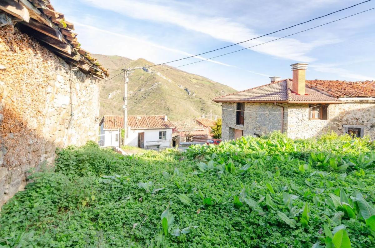 Propiedades en venta y alquiler en España photo 2