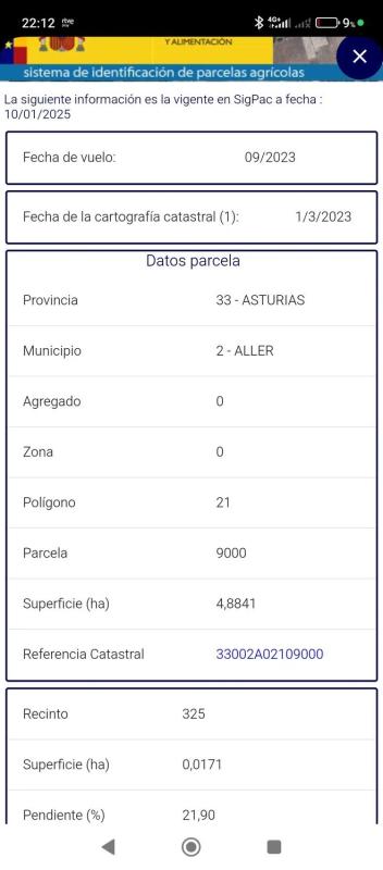 Propiedades en venta y alquiler en España photo 4