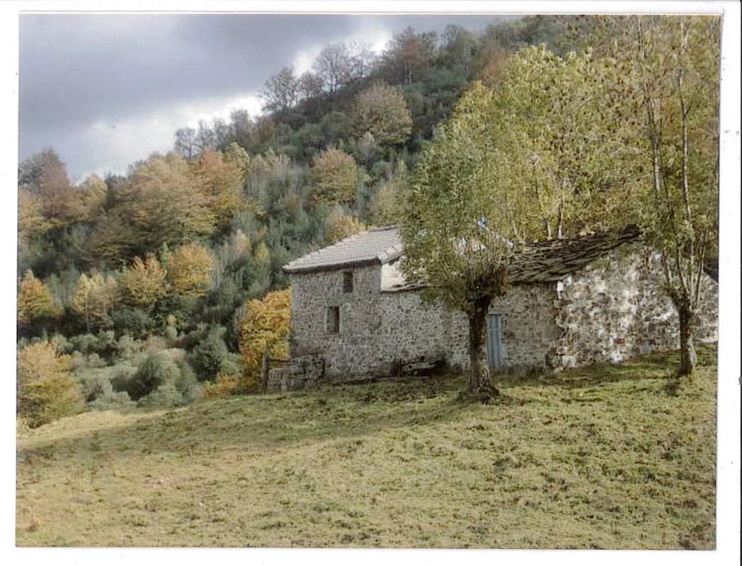 Продажа загородного участка в  La Fresnosa s/n , Аллер photo 3