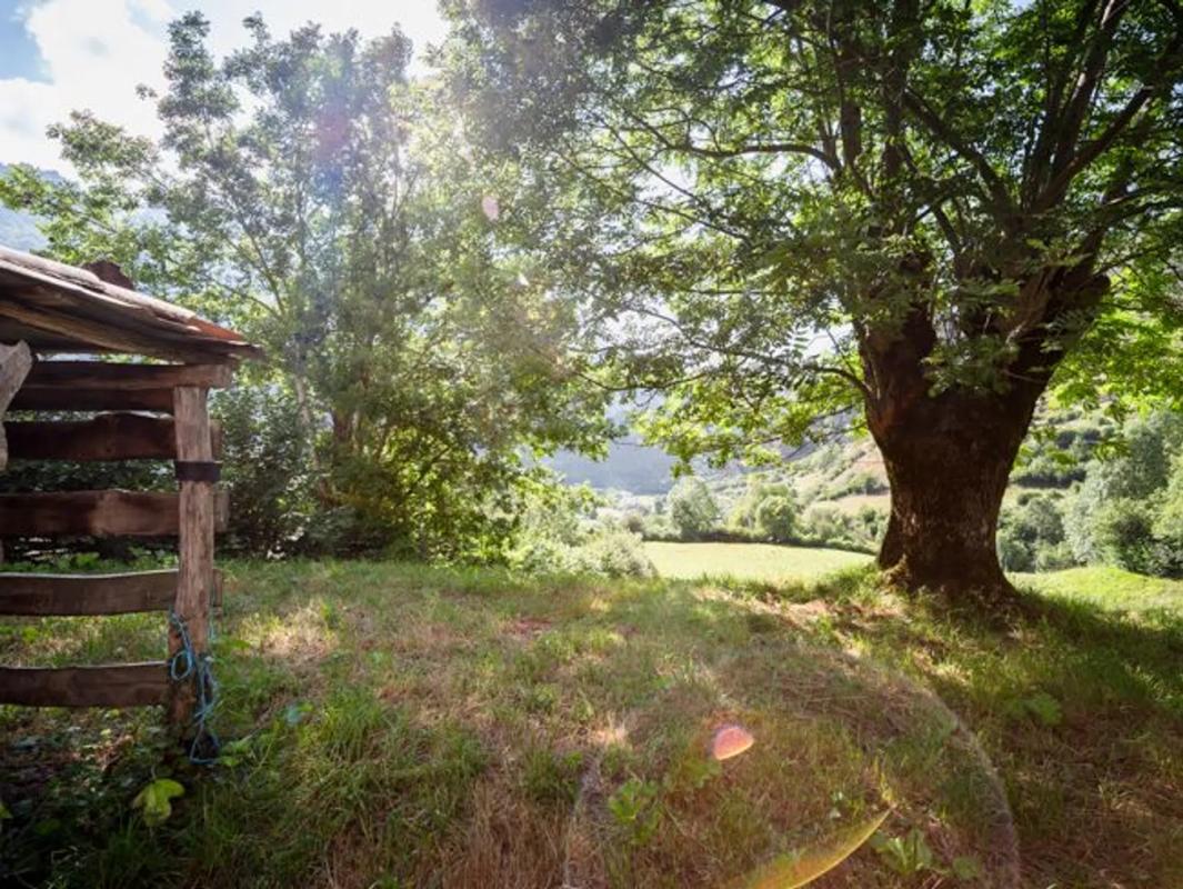 Venta de finca rústica en Aller , Aller photo 3