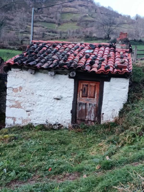 Propiedades en venta y alquiler en España photo 1