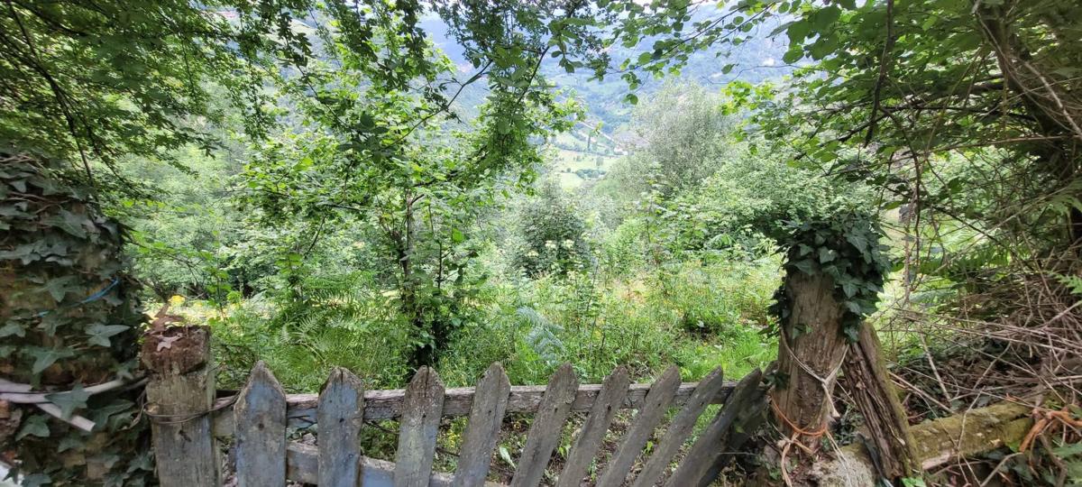 Venta de finca rústica en  AE-5, 1 -3 , Aller photo 5