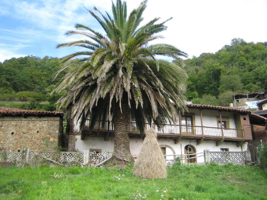 Propiedades en venta y alquiler en España photo 1