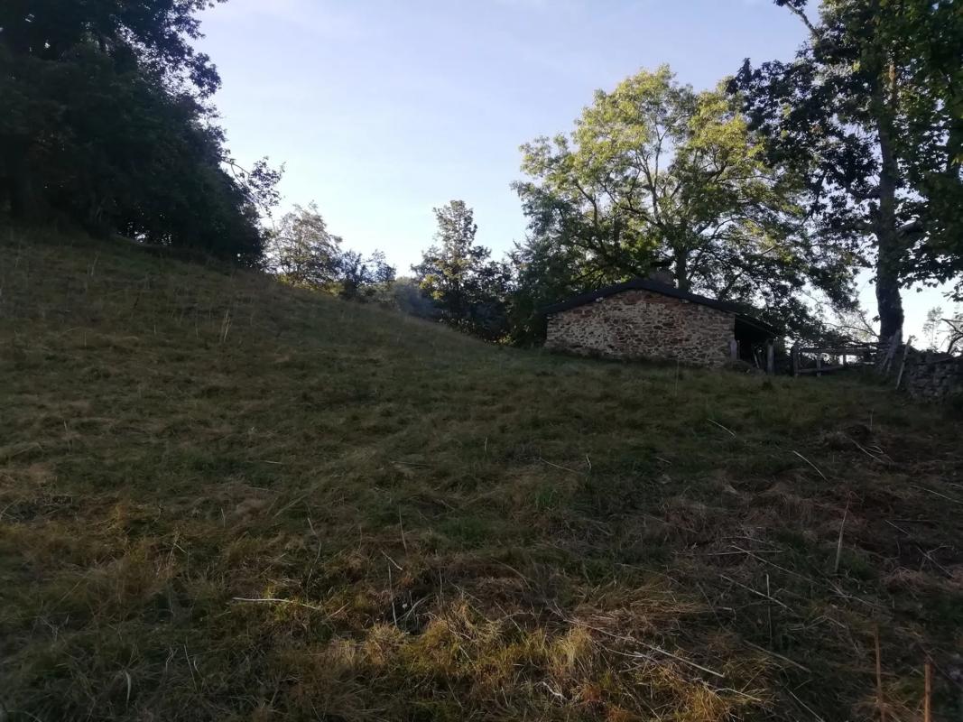 Venta de finca rústica en  Felguera (El Rasón) s/n RoNegrosn , Aller photo 3