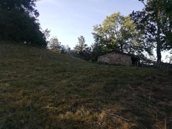 Продаётся загородный участок в  Felguera (El Rasón) s/n RoNegrosn , Аллер photo 3