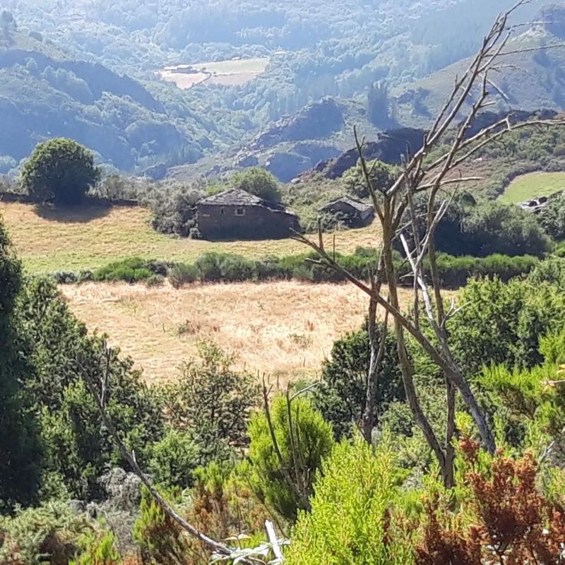 Sale of rural property in Caserio Travadelo, 4 A , Villanueva de Oscos photo 3