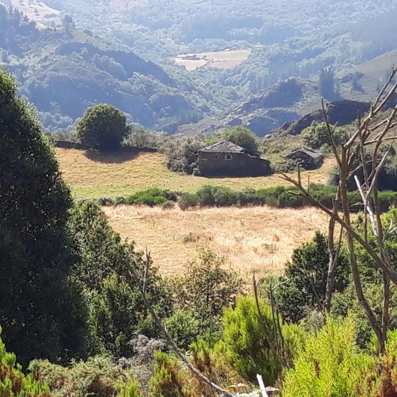 Sale of rural property in Caserio Travadelo, 4 A , Villanueva de Oscos photo 5