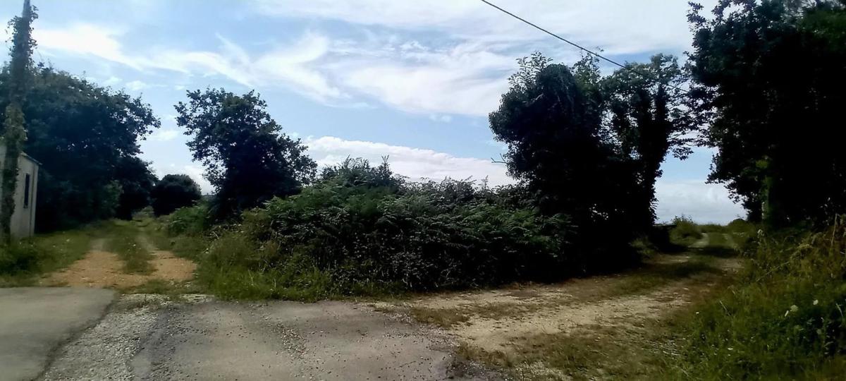 Propiedades en venta y alquiler en España photo 4
