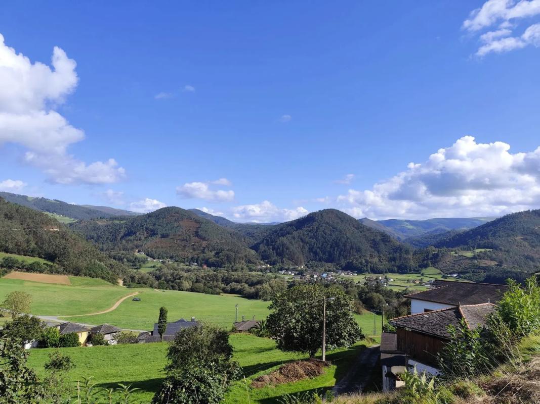 Properties for sale and rent in Spain photo 5