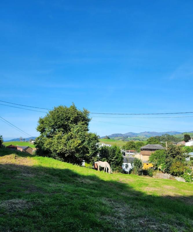 Properties for sale and rent in Spain photo 3
