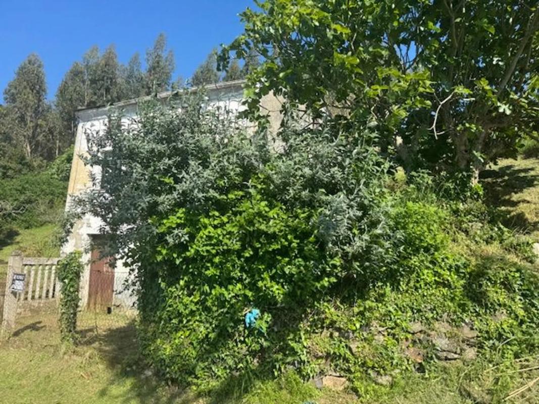 Properties for sale and rent in Spain photo 3