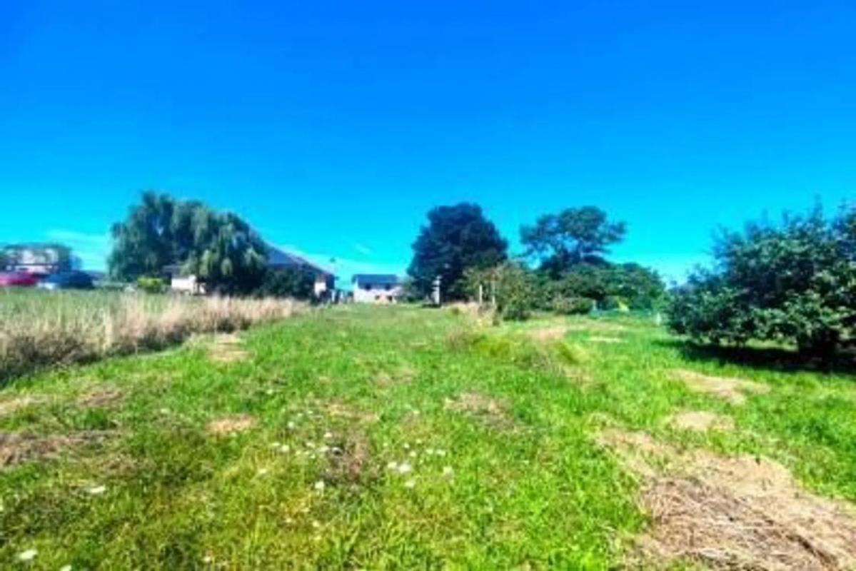 Properties for sale and rent in Spain photo 2
