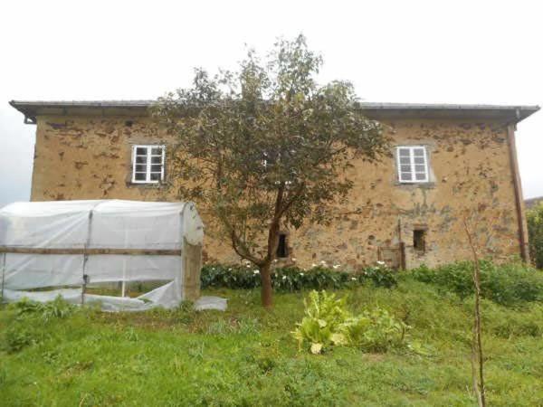 Finca rústica en venta en  Lugar Arancedo, 27 , El Franco photo 1