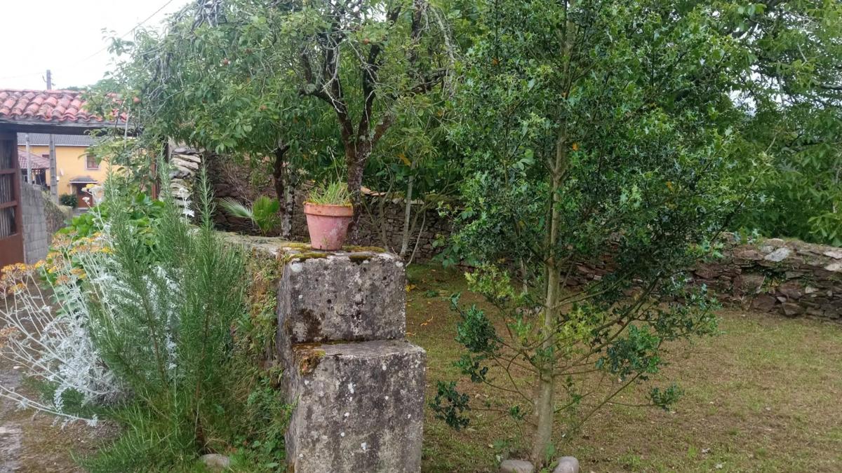 Propiedades en venta y alquiler en España photo 4
