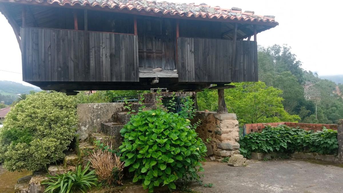 Propiedades en venta y alquiler en España photo 5