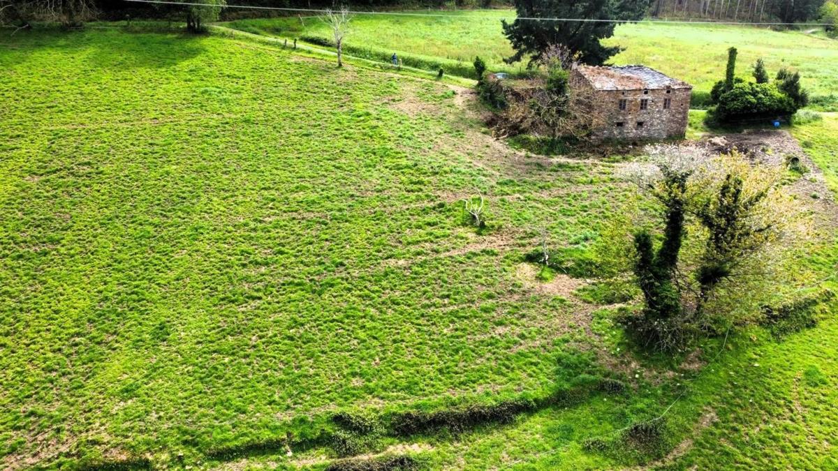 Properties for sale and rent in Spain photo 2