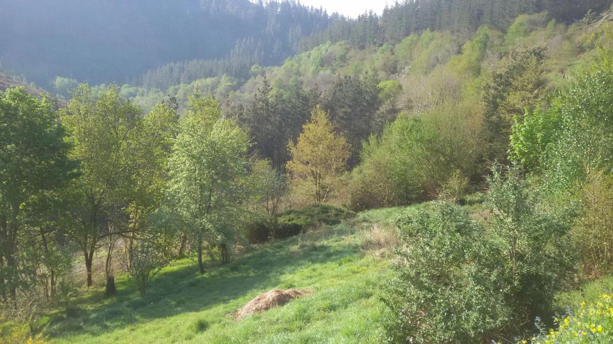 Nieruchomości na sprzedaż i do wynajęcia w Hiszpanii photo 4