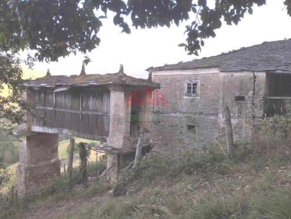 Rustic farm for sale in  San Tirso de Abres , San Tirso de Abres photo 2