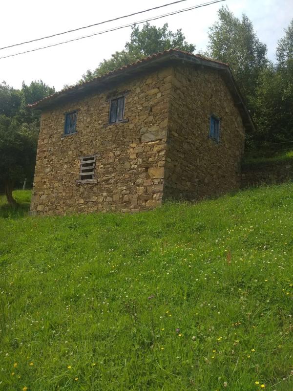 Properties for sale and rent in Spain photo 1