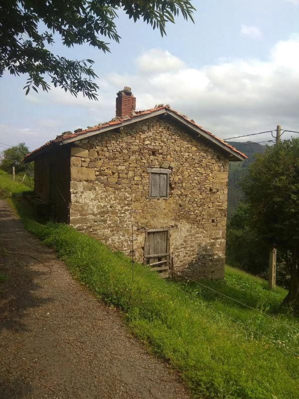 Properties for sale and rent in Spain photo 2