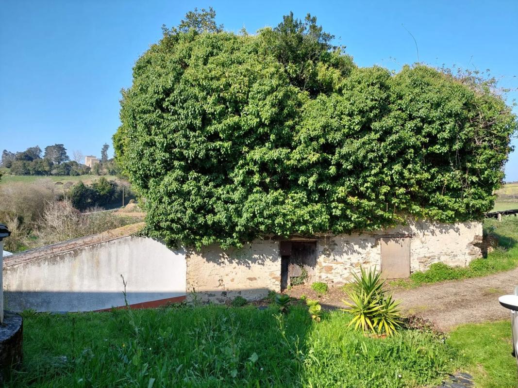 Sale of rural property in  Ensenada de La Linera s/n , Castropol photo 5