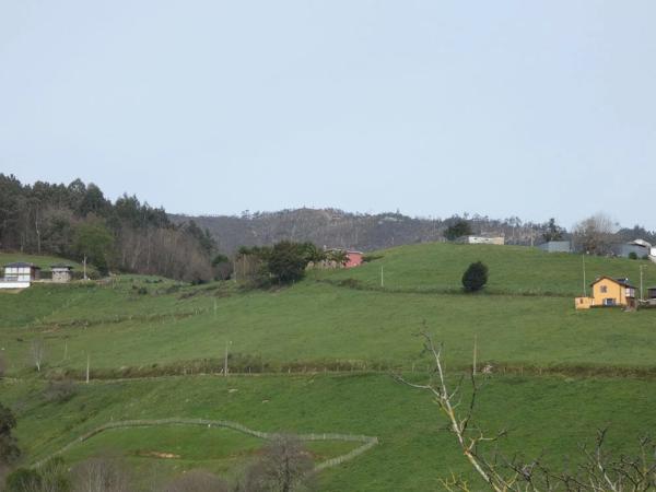 Casa independiente photo 3